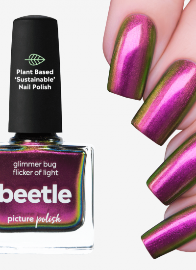 Picture Polish Beetle