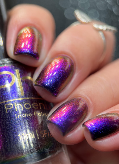 Phoenix Indie -Garnet Throated Hummingbird