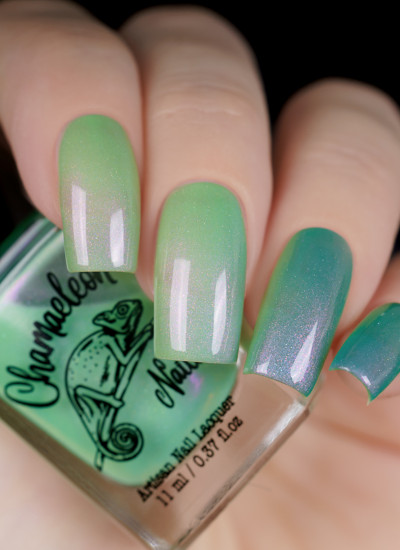 Chamaeleon  - Wonderful Worlds Collection - Luminous Pine Forest