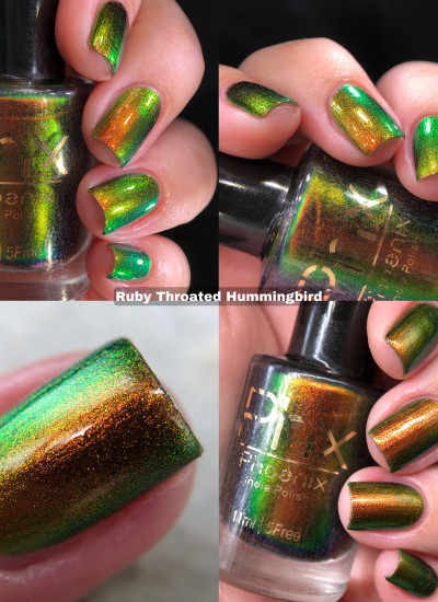 Phoenix Indie - Ruby Throated Hummingbird