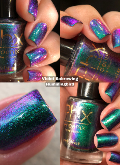Phoenix Indie - Violet Sabrewing Hummingbird