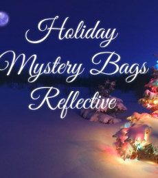 Kathleen& Co Polish - 2022 Winter  Collection - Holiday Mystery Bag Reflective (3 pcs) 