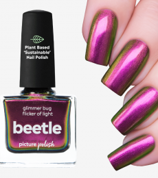 Picture Polish Beetle