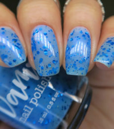 Dam Polish - Blueberry Sanctuary 