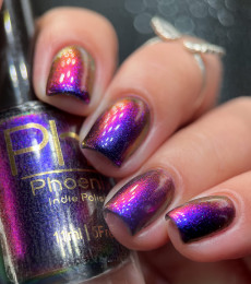 Phoenix Indie -Garnet Throated Hummingbird