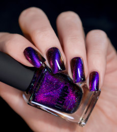 ILNP - Nightlife Collection - High Roller