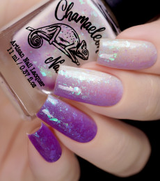 Chamaeleon  - Wonderful Worlds Collection - Purple Moon