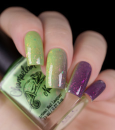 Chamaeleon  - Wonderful Worlds Collection - Veiled Paradise