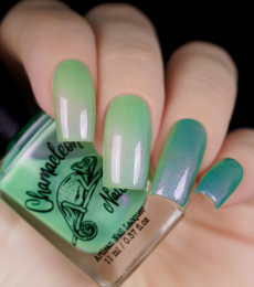 Chamaeleon  - Wonderful Worlds Collection - Luminous Pine Forest
