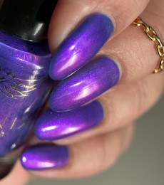 Phoenix Indie - X Collection - Teleport