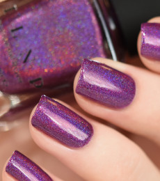 ILNP - Kings & Queens