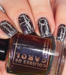 Colores de Carol - Midnight Merlot