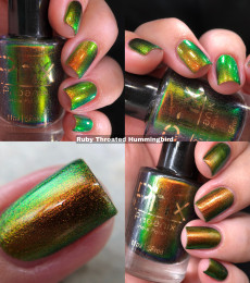 Phoenix Indie - Ruby Throated Hummingbird