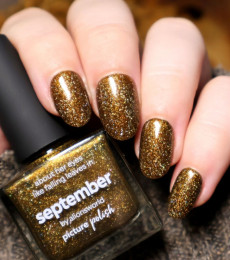 Picture Polish - Fall 2024 - September 