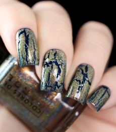 Colores de Carol -   Tinsel & Tonic