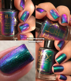 Phoenix Indie - Violet Sabrewing Hummingbird