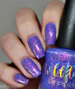 Wildflower Lacquer - Up a Creek Vol. 4&5 Collections- Whispers of Desire