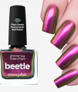 Picture Polish Beetle