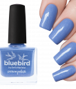 Picture Polish Bluebird