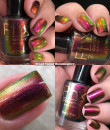 Phoenix Indie - Broad Tiled Hummingbird