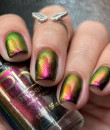 Phoenix Indie - Broad Tiled Hummingbird