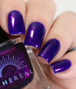 Ethereal  -Fruity Juicy Collection - Darkberry 