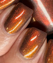 Dam Polish -Dingle Berries - Brown Shimmer Nail Polish - Dec 2022 Polish of the Month