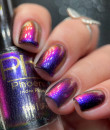 Phoenix Indie -Garnet Throated Hummingbird