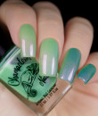 Chamaeleon  - Wonderful Worlds Collection - Luminous Pine Forest