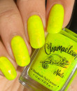 Chamaeleon  - Rainbow Flakies - Fireflies