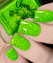 Chamaeleon  - Rainbow Flakies - Bamboo Garden