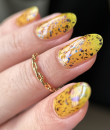 Phoenix Indie - X Collection - Optical Blast