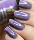 Penelope Luz - Polished Perfection - Incomparable