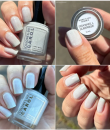 Colores de Carol - Seashell Surprise