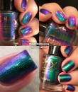 Phoenix Indie - Violet Sabrewing Hummingbird